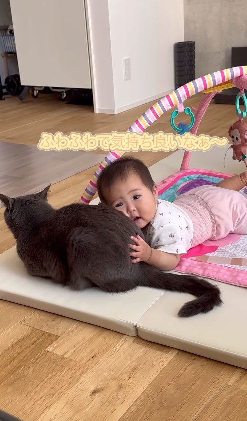 猫の腰に顔をくっつけている赤ちゃん「ふわふわで気持ち良いなぁ〜」