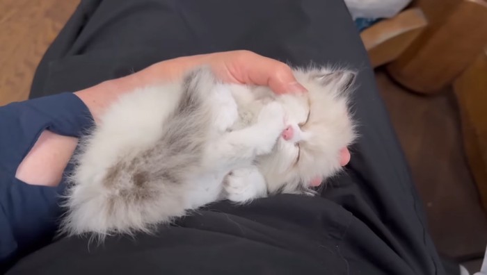 足をチュッチュ