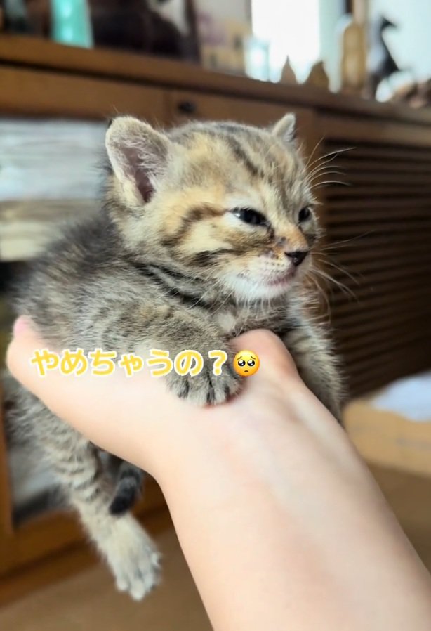 寂しそうな目をするツナちゃん