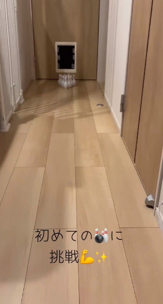 廊下に並べられたボウリングのピン