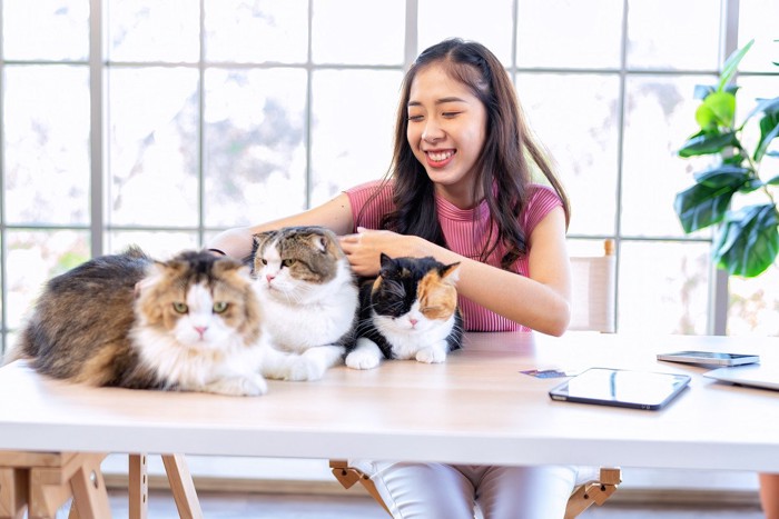 3匹の猫と女性