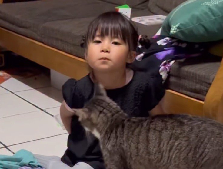 座っている女の子の近くへ歩いてくる猫