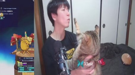 飼い主の閉じている口元に向かって真っ直ぐ右前足を伸ばす猫
