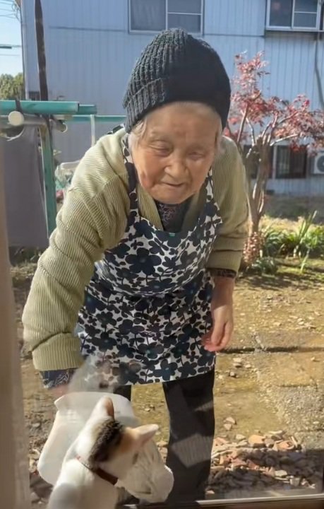 まどふきをするおばあさんとミケ猫