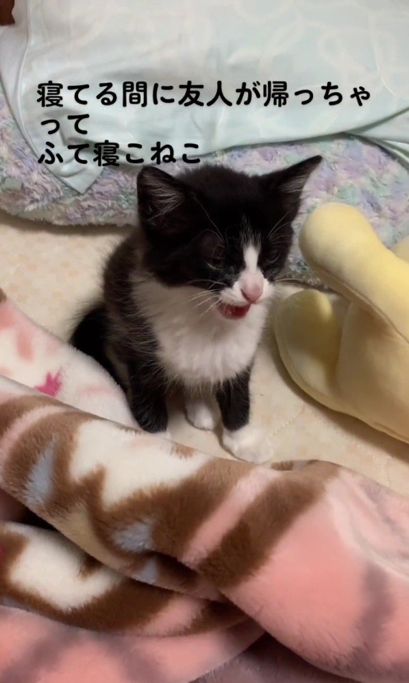 拗ねているねむちゃん