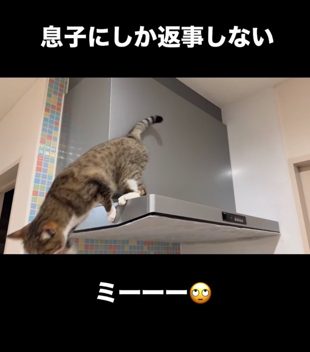 飛び降りる