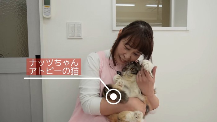 抱っこされる猫