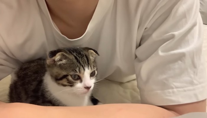 腕の中(アップ)