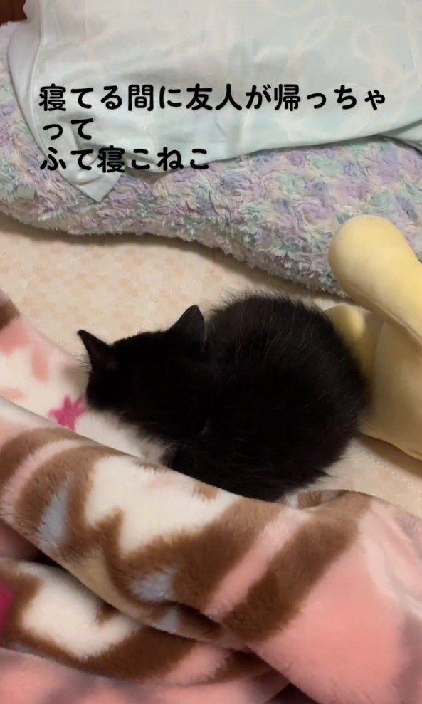 拗ねているねむちゃん