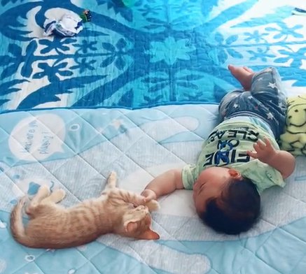 茶トラ子猫の手を掴む赤ちゃん