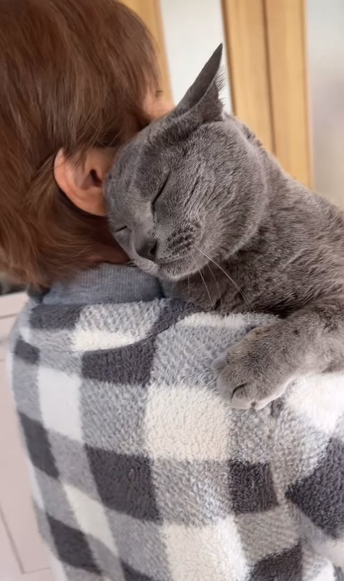 おばあちゃんに顔を寄せて目をつむる猫（斜め横）