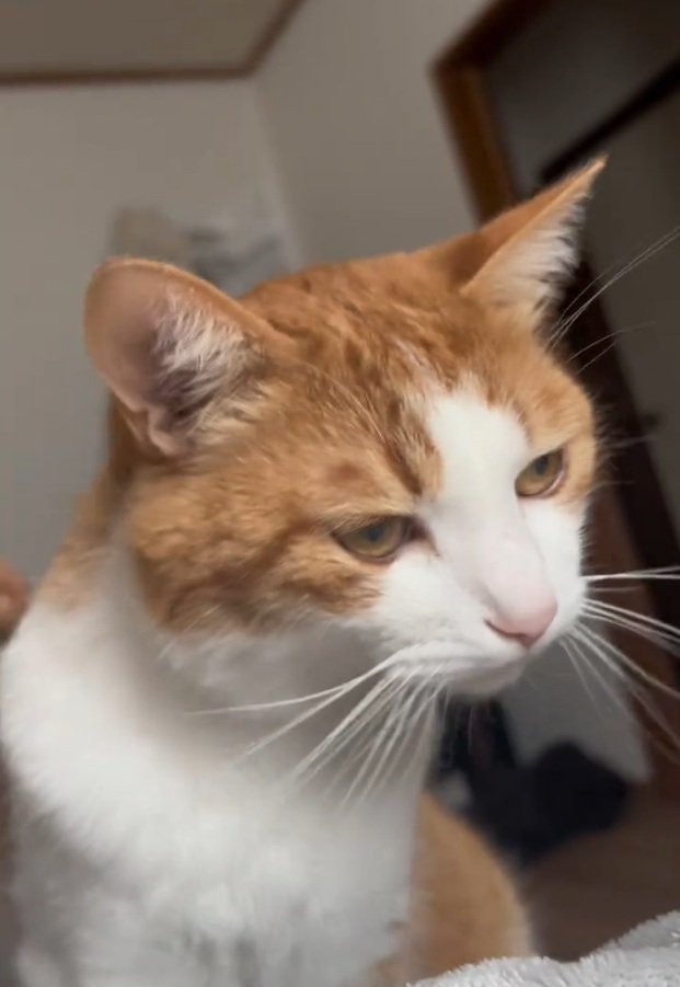 まだ眠そうにするツナちゃん