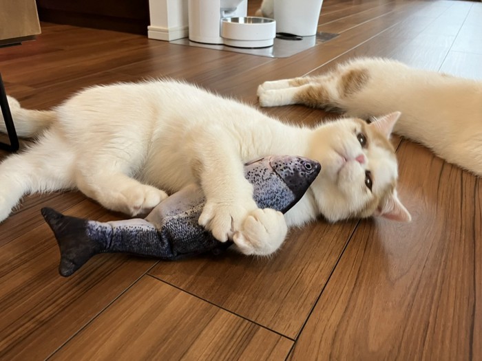 魚のオモチャを抱きしめる