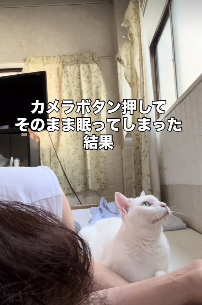 眠るママの隣に座る白猫