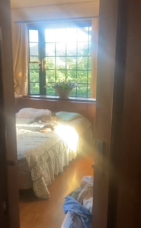 窓際にある日当たりの良いベッド