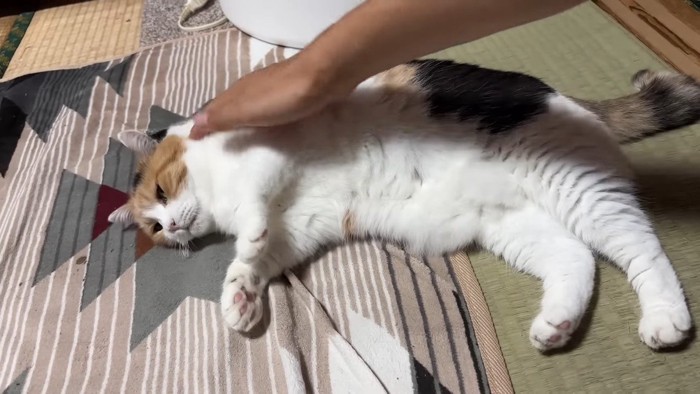 なでなで