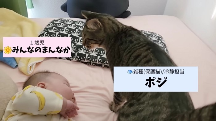 赤ちゃんとポジくん