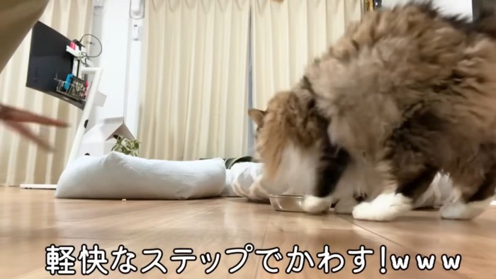 「軽快なステップでかわす!www」