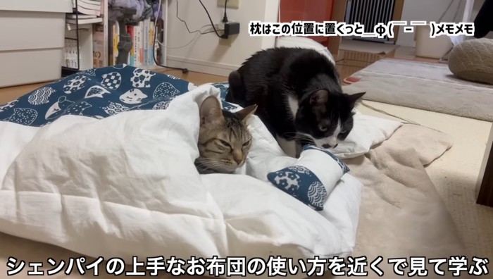 近くで見て学ぶ