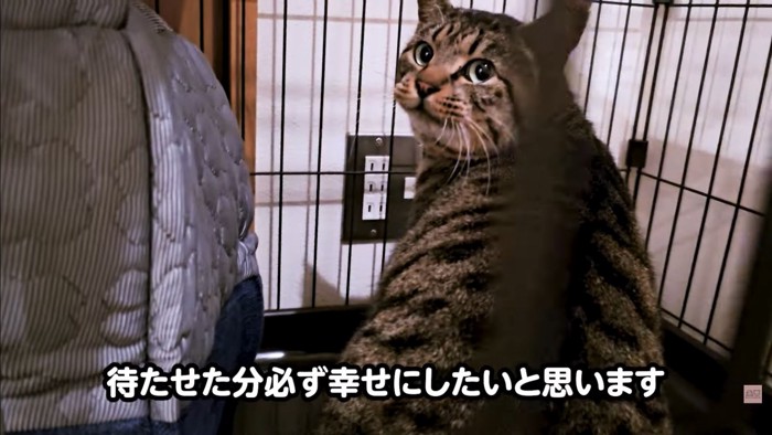 テロップ「待たせた分~」