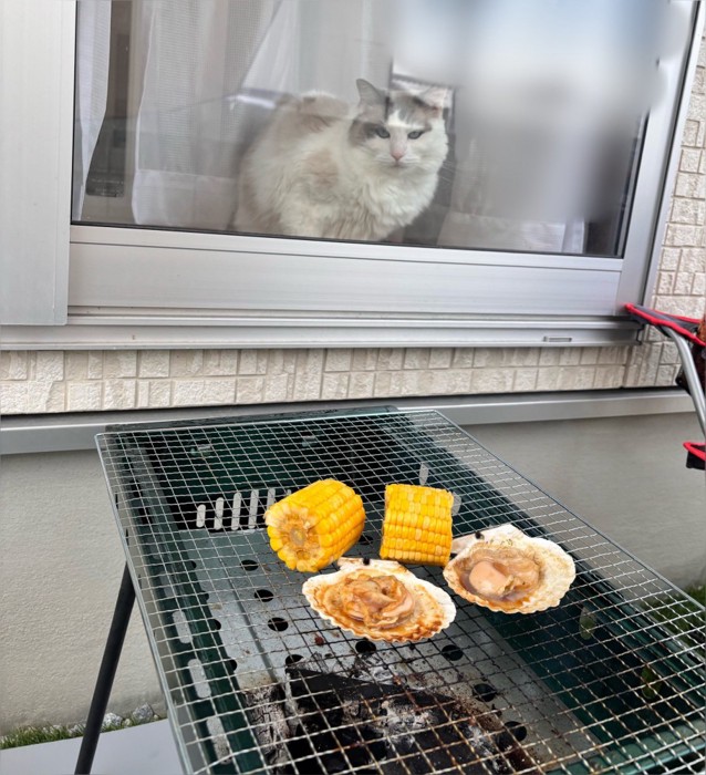 バーベキューを眺めるなつめくん