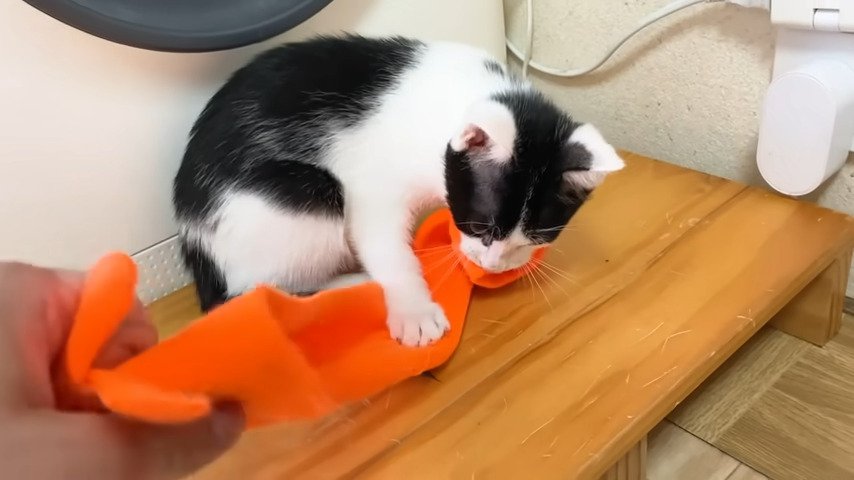 パパが靴下の端っこを掴む様子