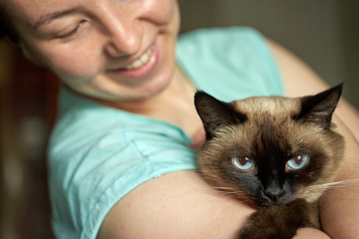 女性に抱かれるシャム猫