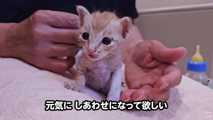 テロップ「元気にしあわせに~」