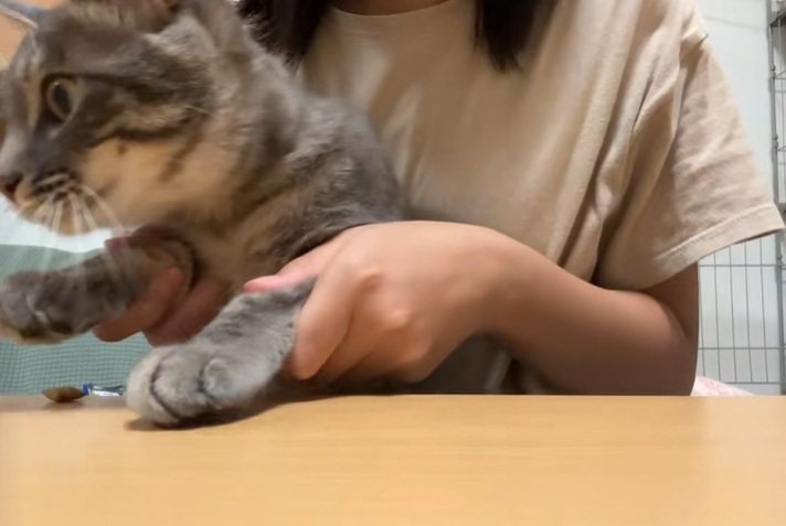 飛んでいくおやつ