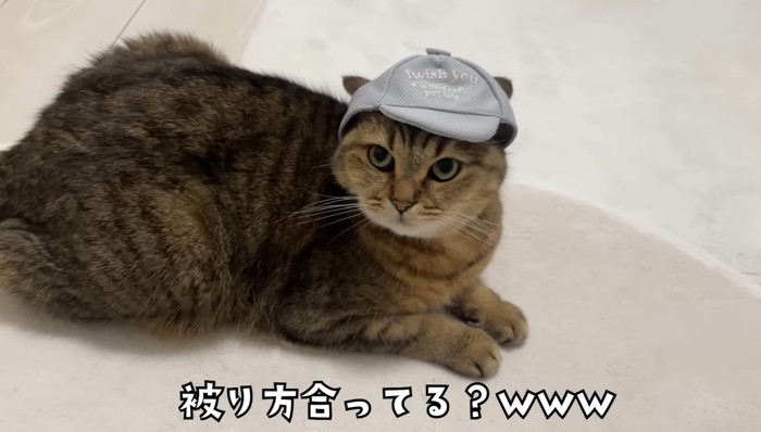 被り方合ってる？