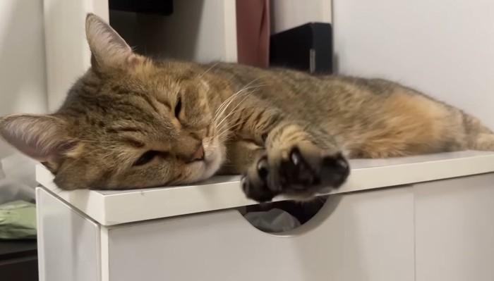 前足を伸ばして