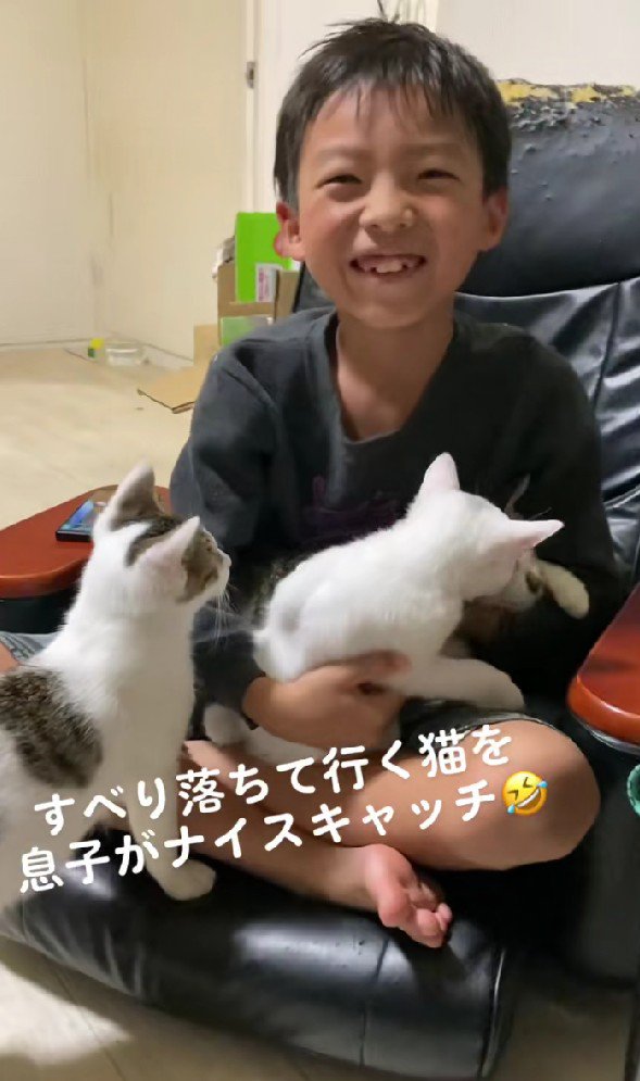 男の子の膝にのろうとしている猫