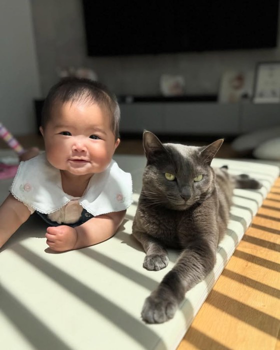同じポーズの赤ちゃんと猫