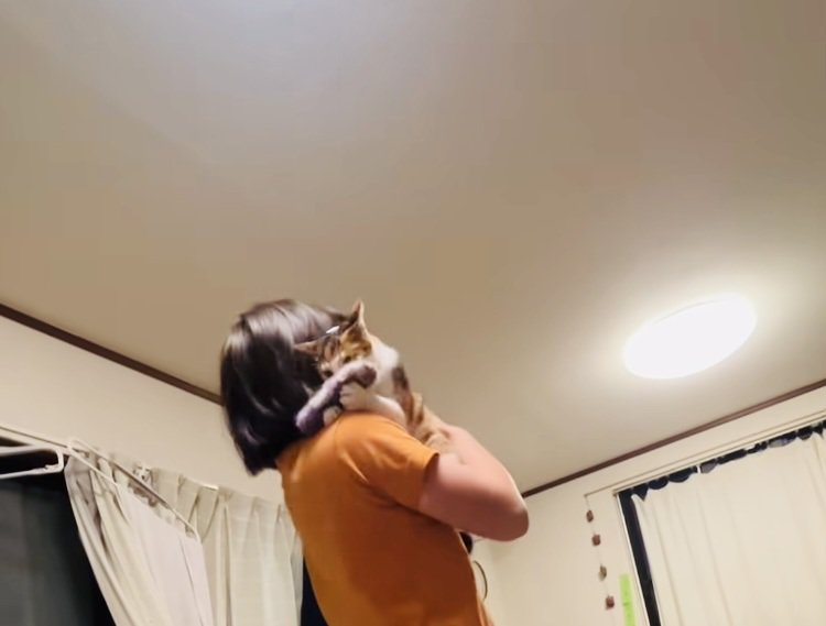 飛んできた三毛猫をキャッチする娘さん