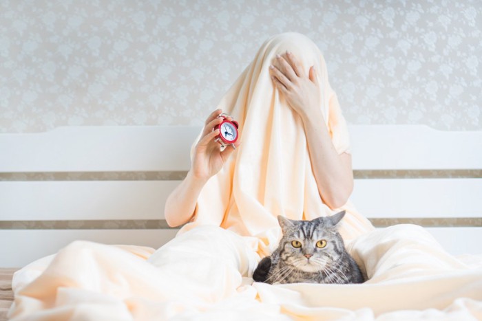猫と、布団をかぶって眠そうにしている女性