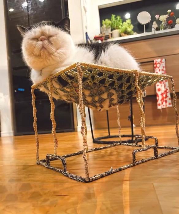 完成した台に乗る猫