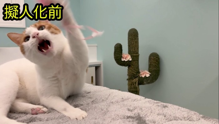 じゃれるうに師匠