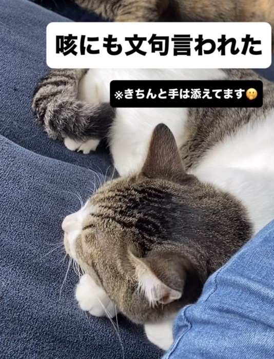 「咳にも文句言われた」のテロップ写真