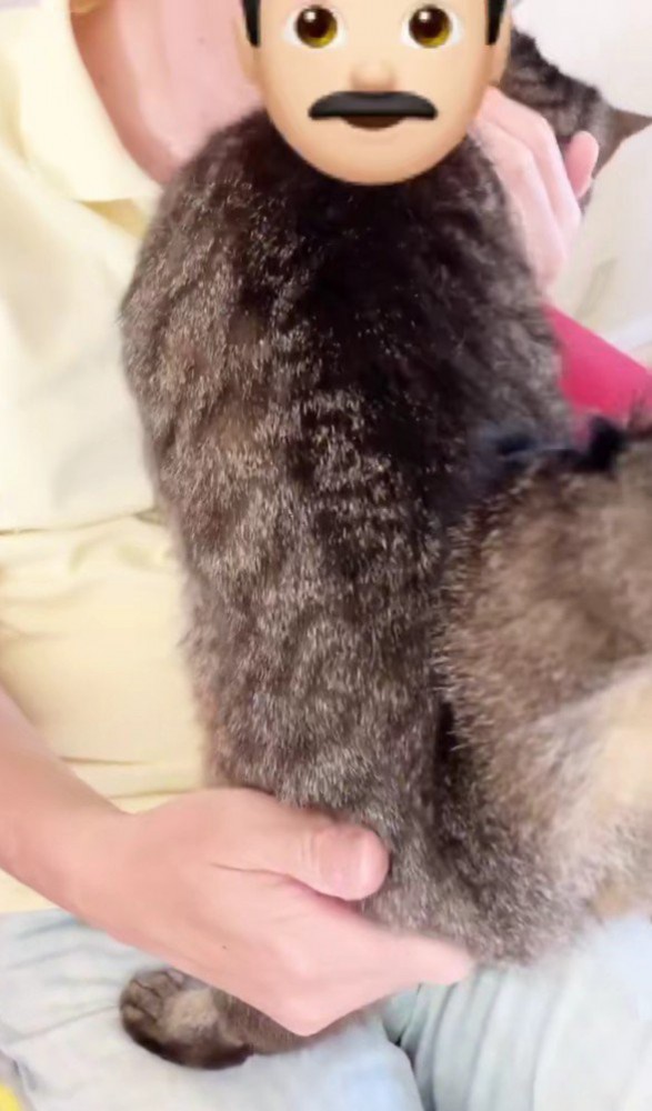 猫を膝にのせる男性