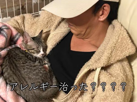 お父さんにくっついて眠る猫