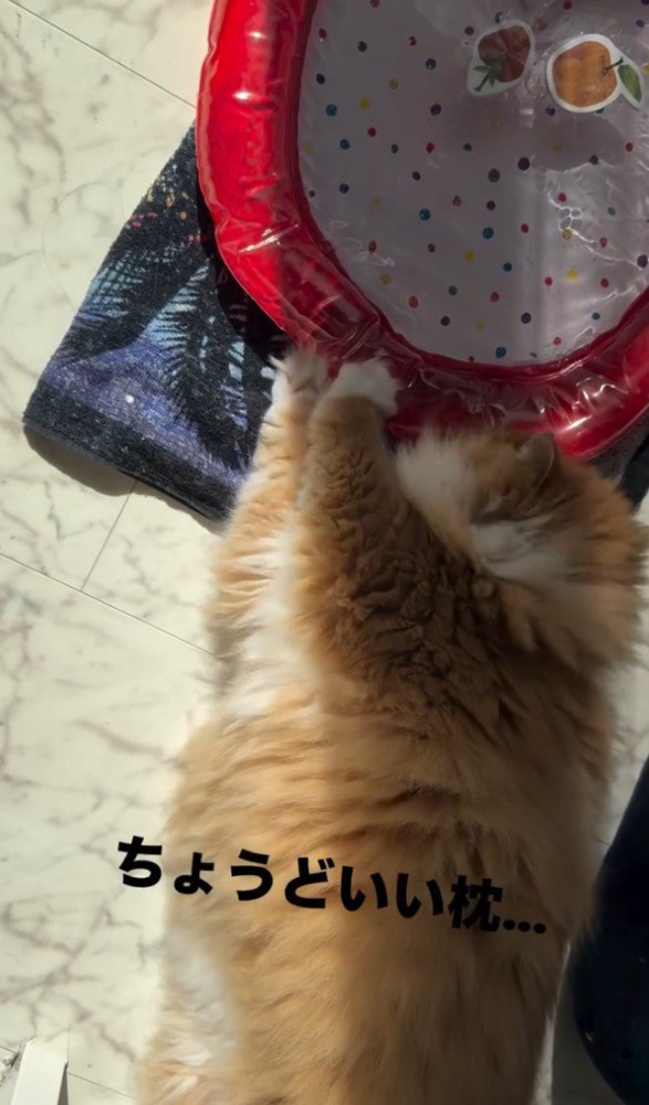 「ちょうどいい…」と書かれた写真