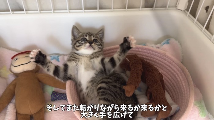 「そしてまた...」のテロップ写真