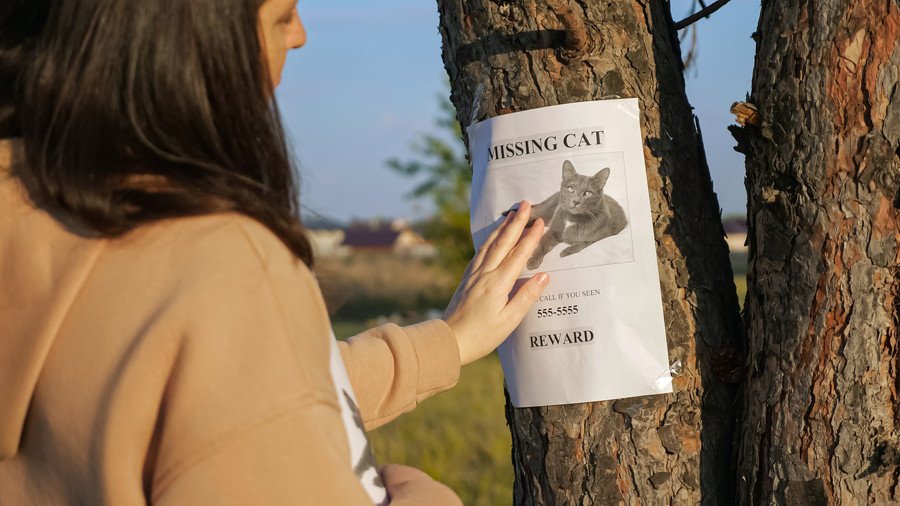 迷い猫のポスターを貼る女性