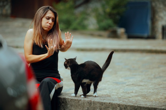 猫を嫌がる女性