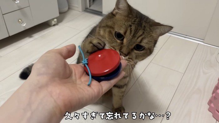 「久々すぎて...」のテロップ写真2