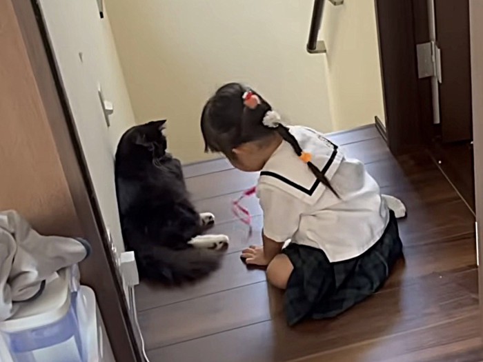 おもちゃを見る猫とおもちゃで遊ぶ妹