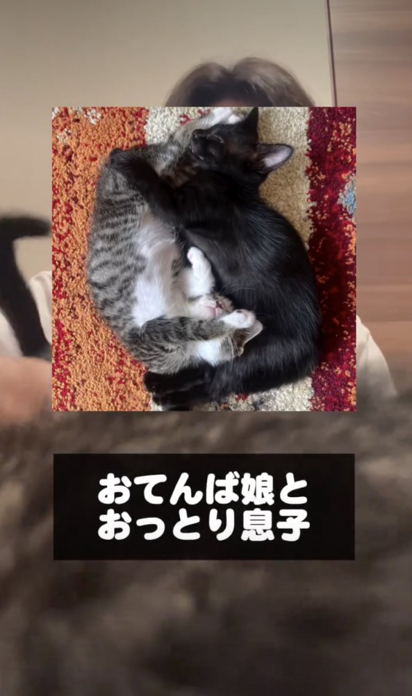 寝転ぶ2匹