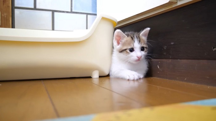 隙間に挟まるハートくん