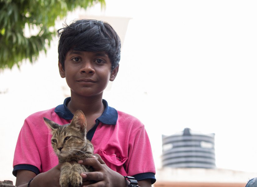 猫を抱くインド人少年