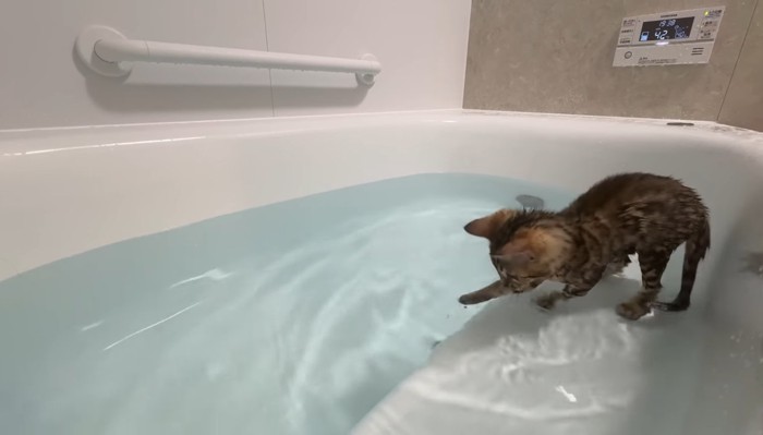 浴槽の中で水遊び